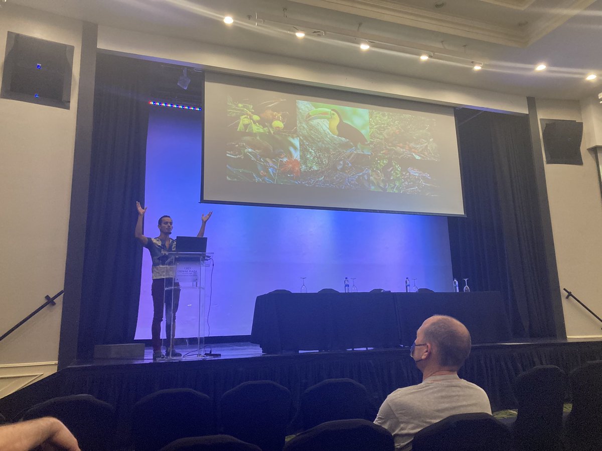 Cecilia Baldoni tweet media