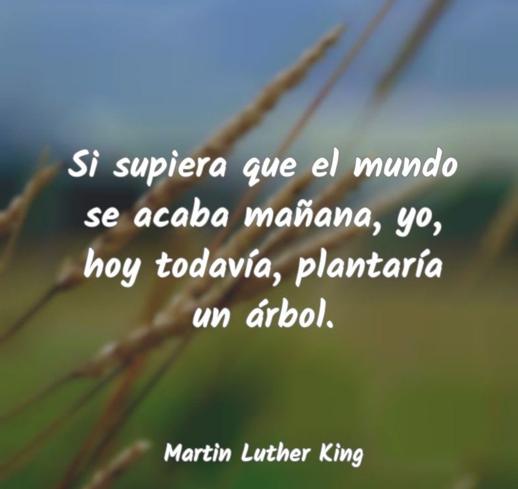 Norma_silva_'s tweet photo. Nunca perdamos la ESPERANZA! https://t.co/ZsKJt7xmnV