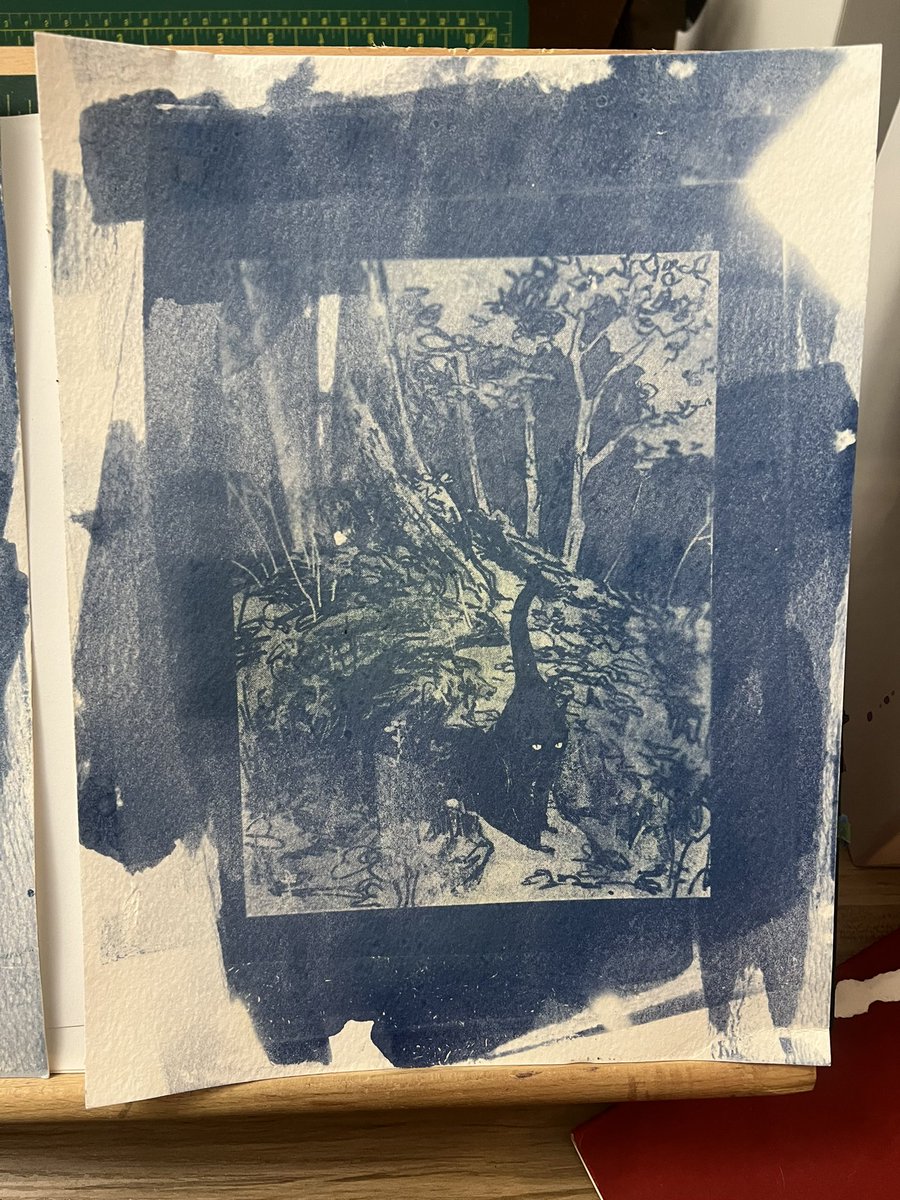 Cyanotype experiments this afternoon, I'm too excited to wait for them to dry and fully develop but I'll report back tomorrow