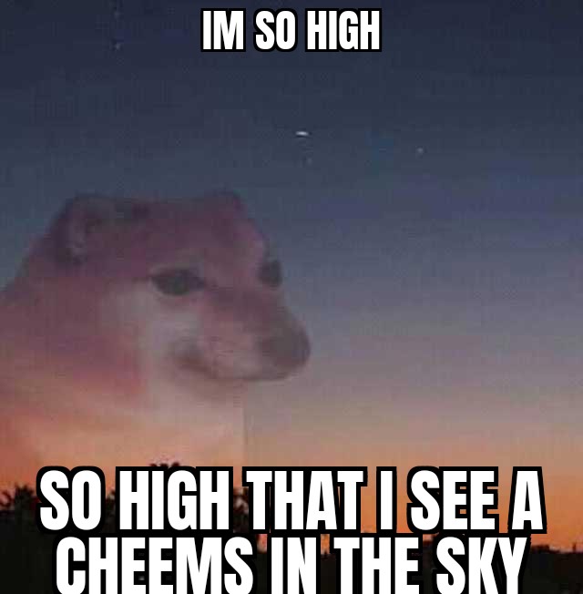 FaarTDooG's tweet photo. #ToTheMoon #Dogecoin https://t.co/Ttw7nT7XbE