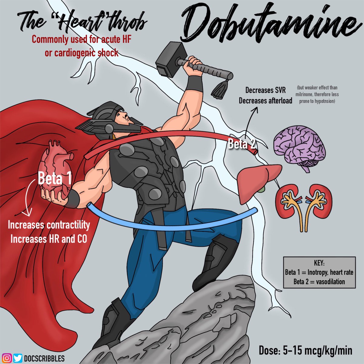 Cathy Cichon tweet media