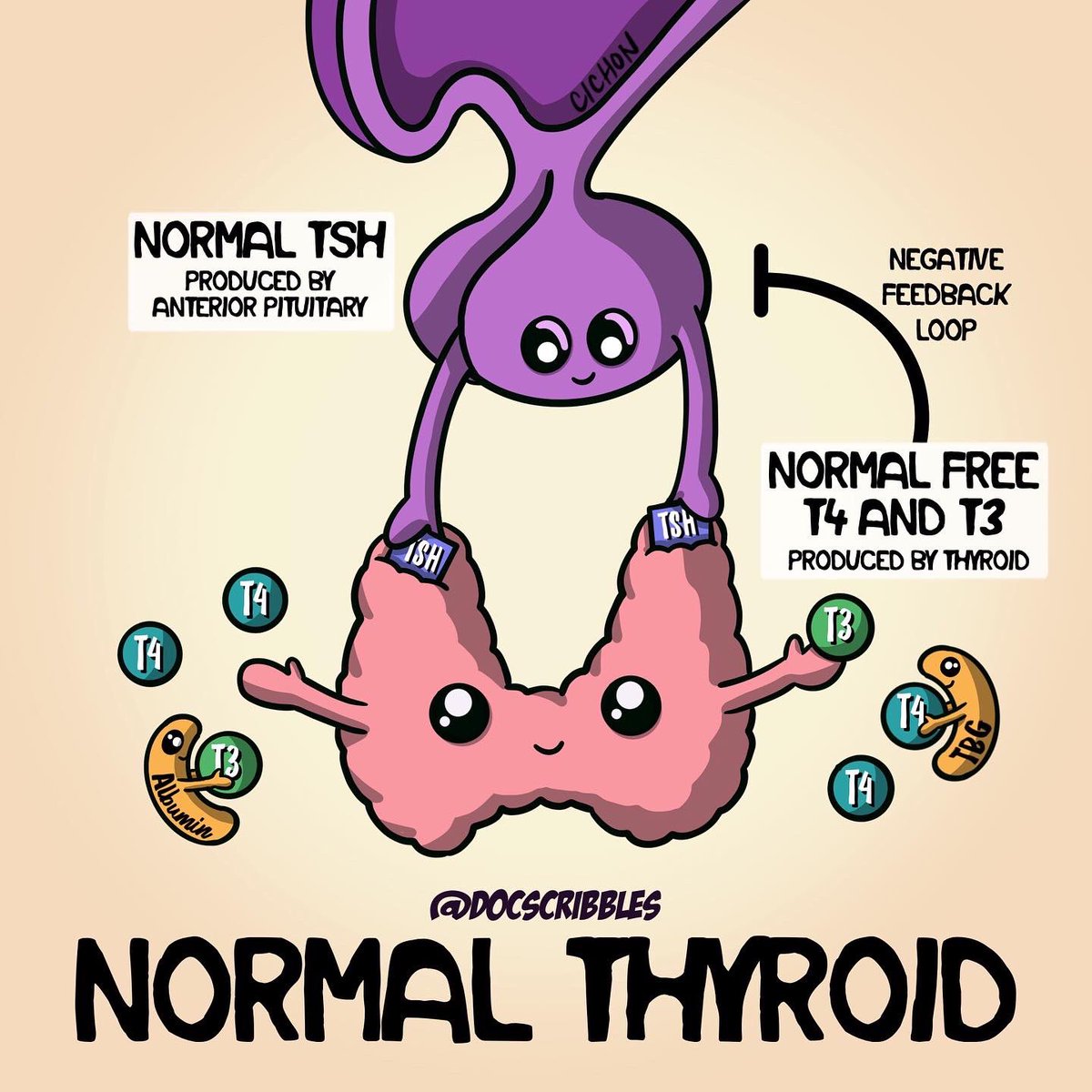 Cathy Cichon tweet media