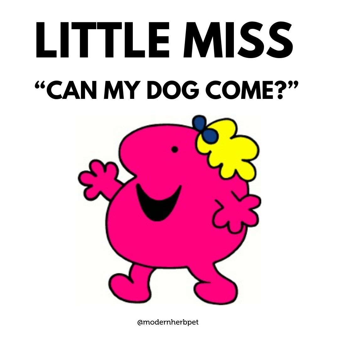 modernherbpet's tweet photo. #LittleMissMemes #dogmomlife https://t.co/lpF6dhQSyU