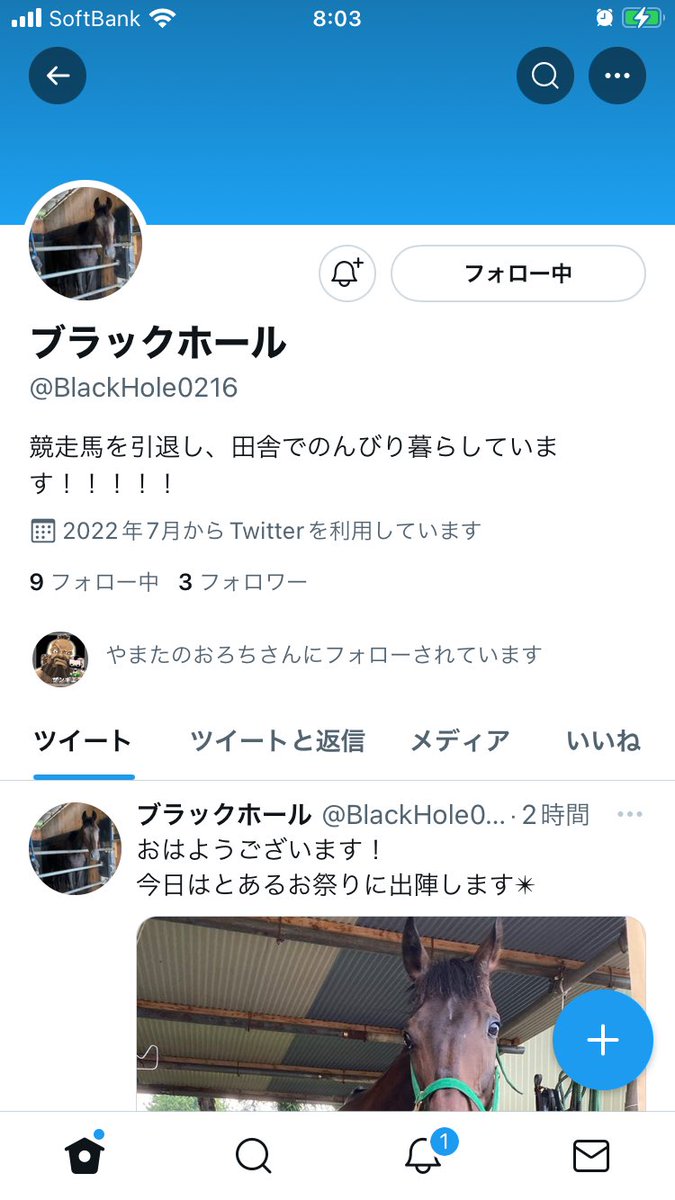 sutegochildren's tweet photo. 緊急事態です‼️‼️‼️
ステゴ一族ファン、ゴールドシップファンの皆さま拡散リツイートをお願いします🙇‍♂️
長年消息不明だった黒ちゃんことブラックホール号が見つかりました😭
拡散しても大丈夫と許可いただいたので、ぜひ黒ちゃんの近況を見てください‼️
朝からこんな嬉しいニュースはない😆 https://t.co/QQfF0kjSm6