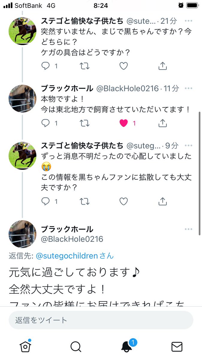 sutegochildren's tweet photo. 緊急事態です‼️‼️‼️
ステゴ一族ファン、ゴールドシップファンの皆さま拡散リツイートをお願いします🙇‍♂️
長年消息不明だった黒ちゃんことブラックホール号が見つかりました😭
拡散しても大丈夫と許可いただいたので、ぜひ黒ちゃんの近況を見てください‼️
朝からこんな嬉しいニュースはない😆 https://t.co/QQfF0kjSm6