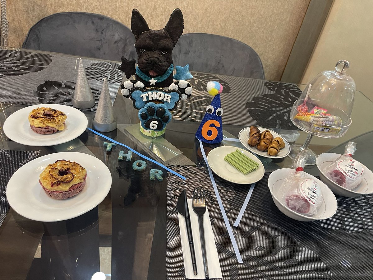 monicabanegasc's tweet photo. 6 años de alegrarnos la vida, mi #Thorito de los ojos marrones #FelizCumpleañosThor #FelizDiaDelPerro #Bebe #OjosMarrones 🥰🐶🎼🎶 https://t.co/qaoMV58Lxd