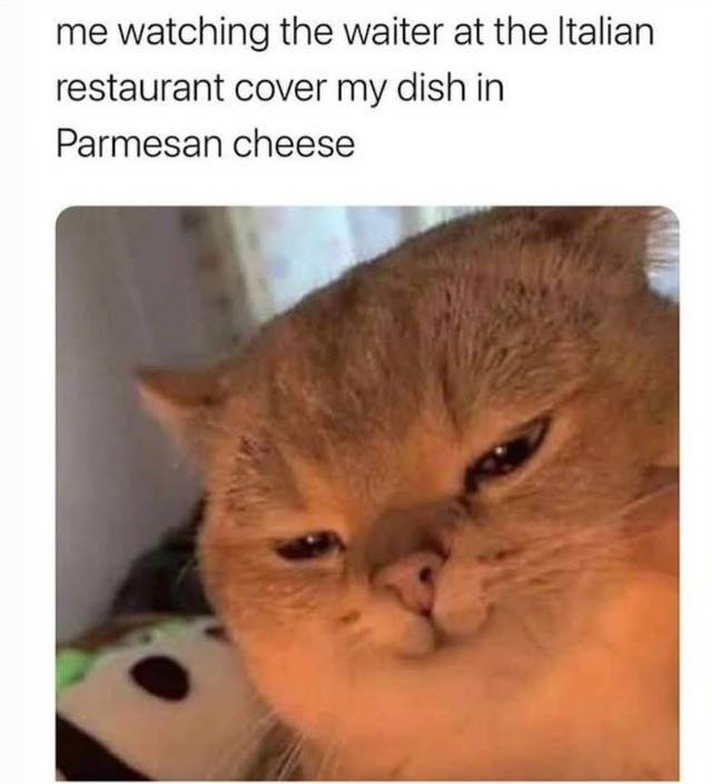 WholesomeMemes (@wholesomememe) on Twitter photo 