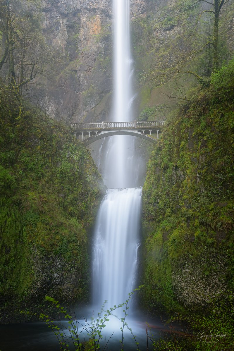 Multnomah Falls, Columbia River Gorge, Oregon #photography #landscapephotography #oregon #waterfalls #columbiarivergorge #forests #travel #travelphotography