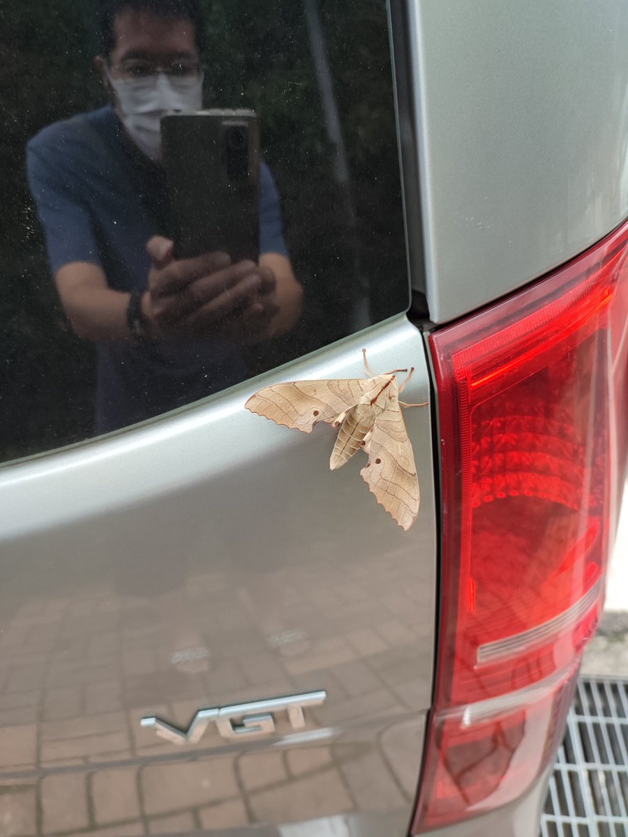 인생학교 tweet media
