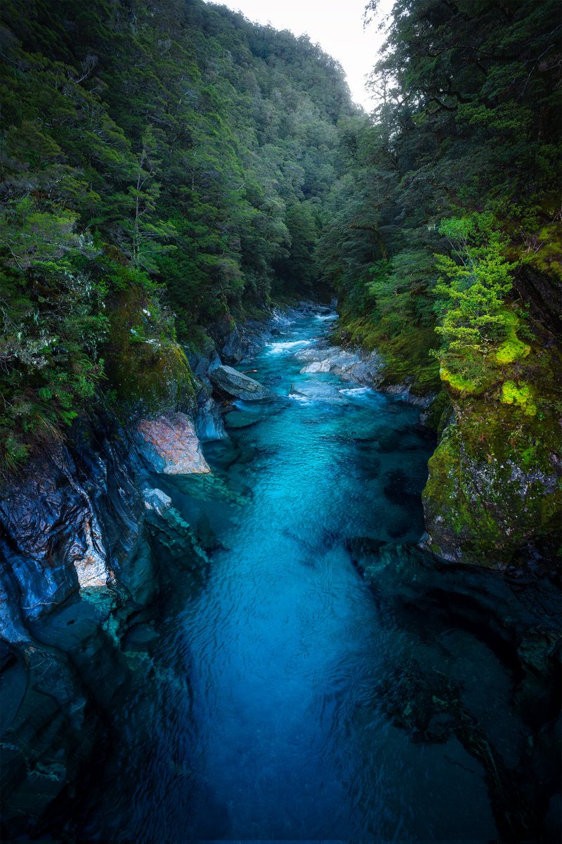 RMacvillain's tweet photo. Haast pass newzealand https://t.co/17o4DXuva7