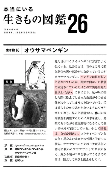 真面目にアホな話をする『天地創造デザイン部』。最新8巻、昨日7/22発売です!!よろしくお願いします!ペンギン話は4巻。アニメもすっごくいいのでぜひ。主題歌はパリピ孔明の96猫さんです。下田役は榎木淳弥さん。諏訪部順一さんと梅原裕一郎さんのラップバトルもあるよ! 