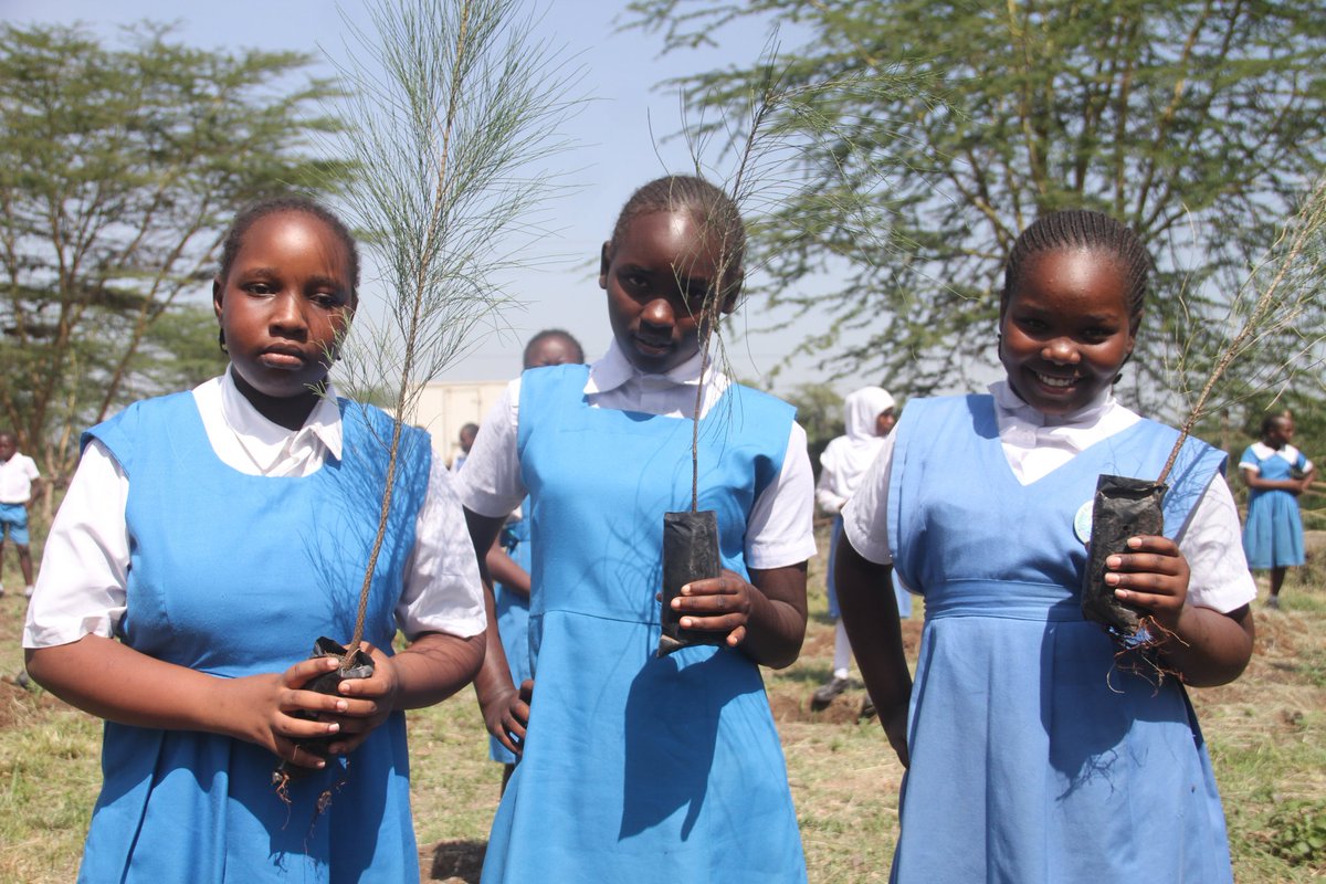 My Green Institution tweet media