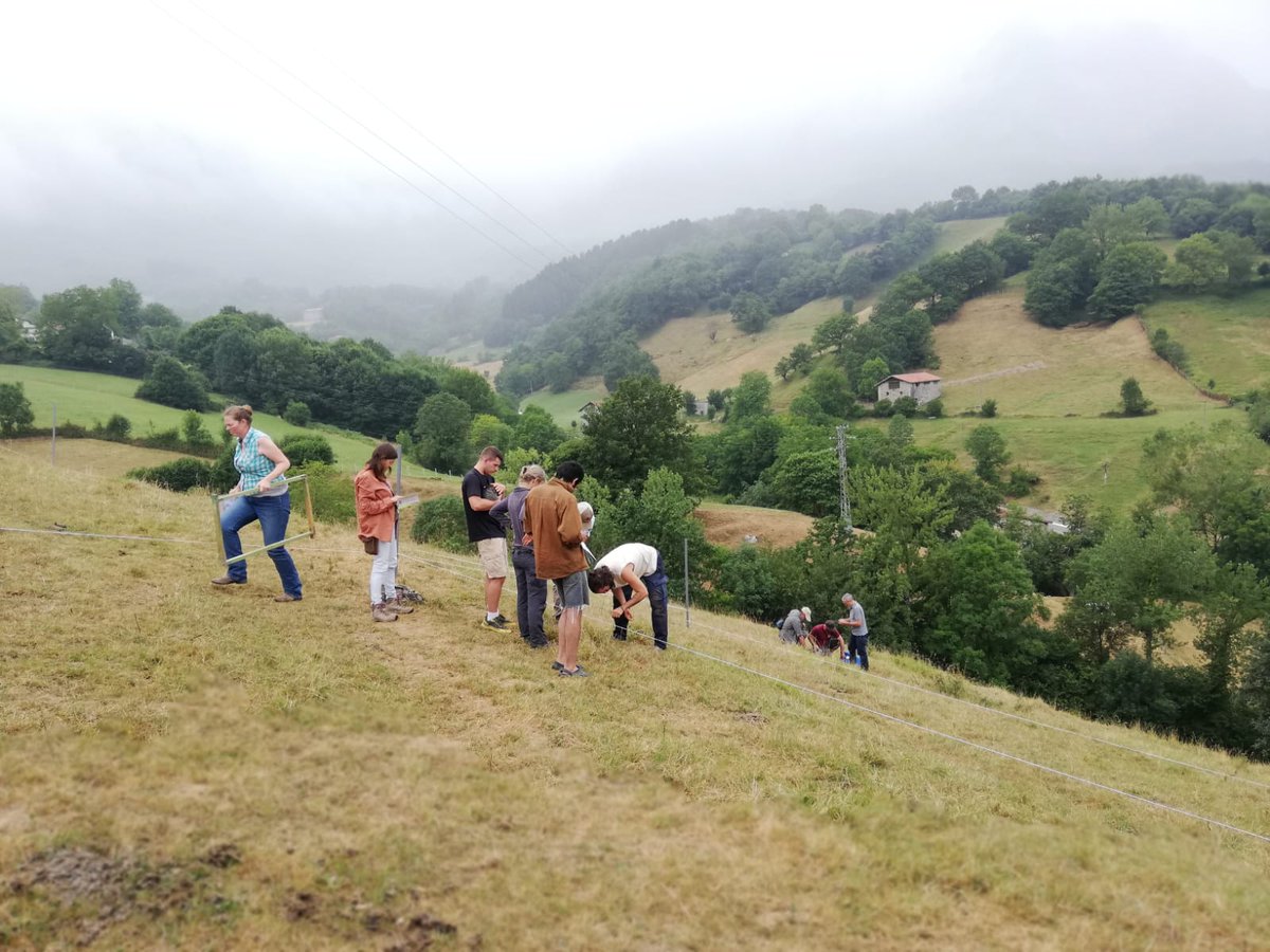 Adriana Targarona tweet media