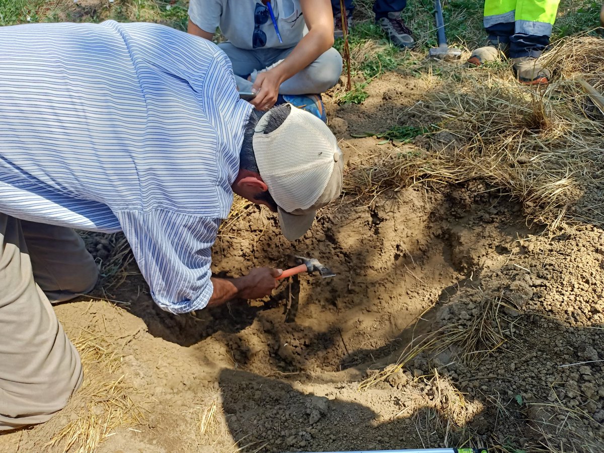 Adriana Targarona tweet media