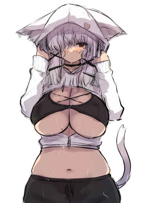 へそ出しぱーかーねこ 