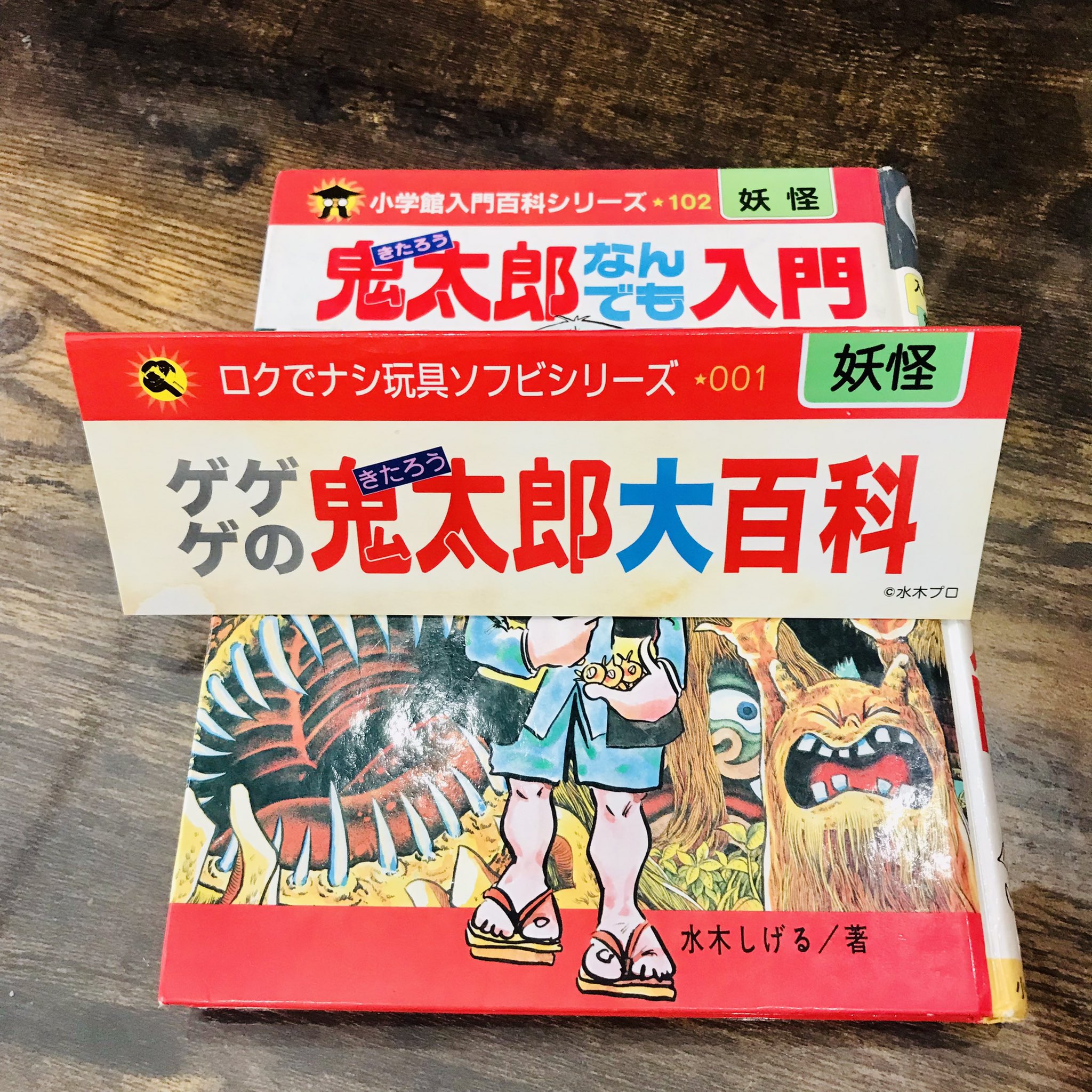 ロクでナシ玩具 ゲゲゲの鬼太郎 大百科 解剖図 からだのひみつ