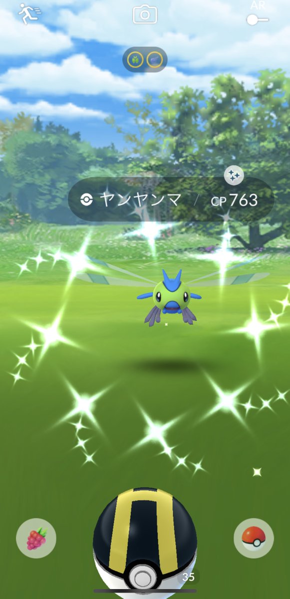 ポケモンgo メガヤンマの色違い 入手方法と実装状況 攻略大百科 ポケモンgo メガヤンマの色違い 入手方法と実装状況 攻略大百科