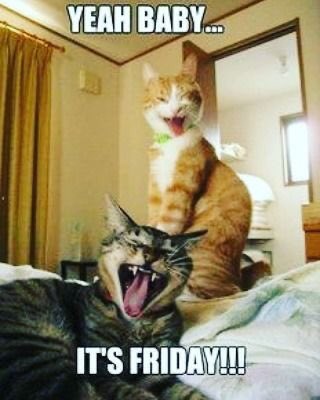 LaurieMit's tweet photo. It’s not Friday Night in the Big Town until Mr E says it is! What say you @garyeOK ? #JumpBack Loretta! https://t.co/doCPwBoTxZ