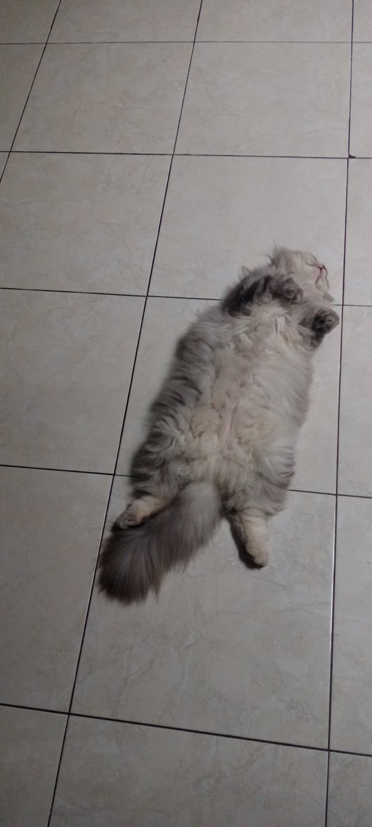 solarsistur's tweet image. capek tengkurep lalu pindah posisi