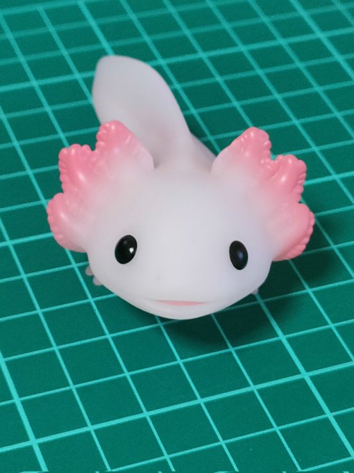 てのりフレンズ6、ウーパールーパー!!
すんげえかわいいいいいい!!!!!!! 