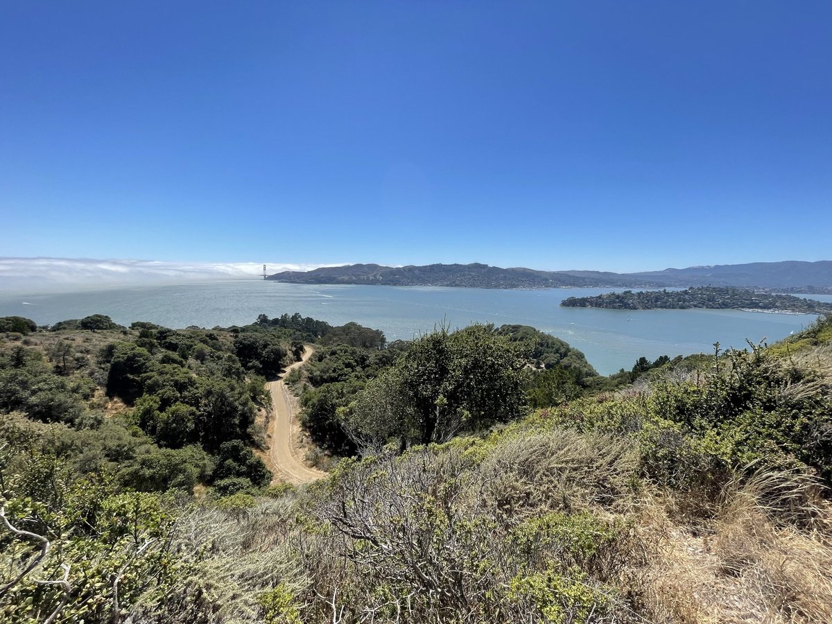 c.selden (@chrisseldo) on Twitter photo 