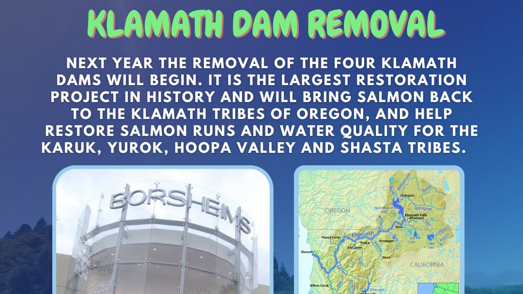 Save California Salmon tweet media