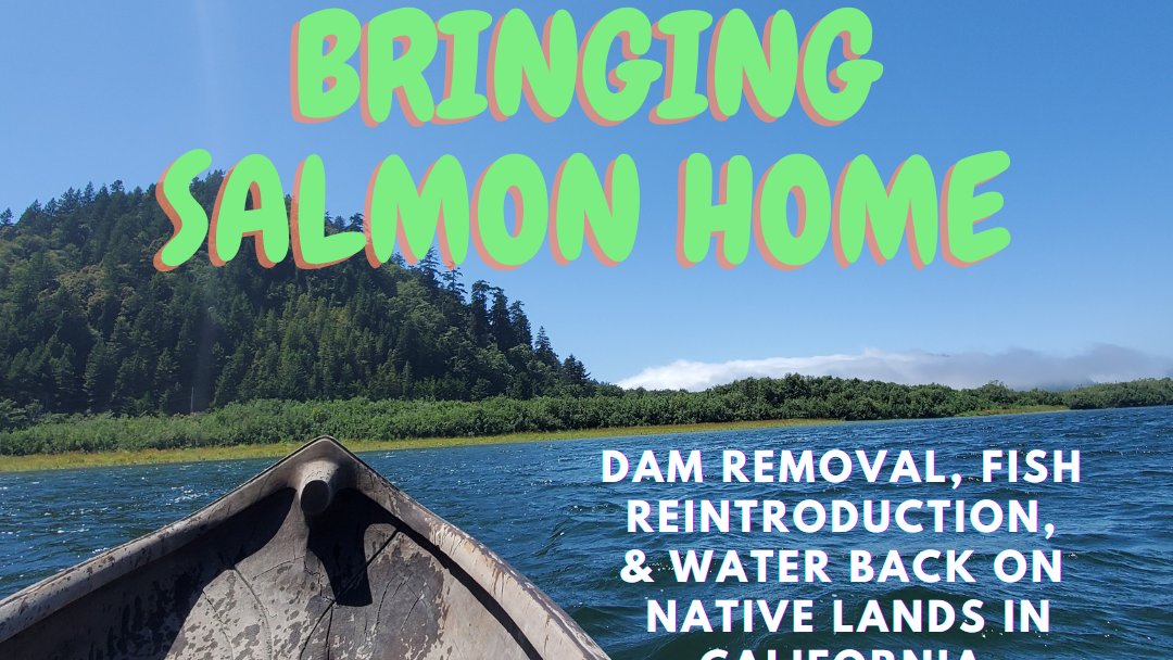 Save California Salmon tweet media