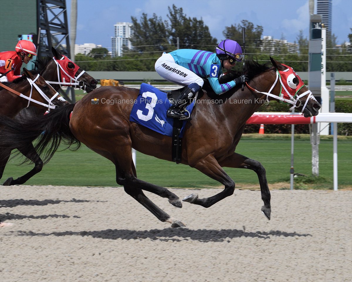 gzerparacing's tweet photo. #22Jul Drinks On Me delivers as the favorite in race 2, Ailsa Morrison @LCjockette at the reins for trainer @gzerparacing at #GulfstreamPark 

Congratulations to owner Ohana Racing LLC @esoued @alfonsosoued 

9️⃣th win for Gilberto Zerpa #RoyalPalmMeet 2022 

📸 @coglianesephoto https://t.co/Jv9eveG8oi