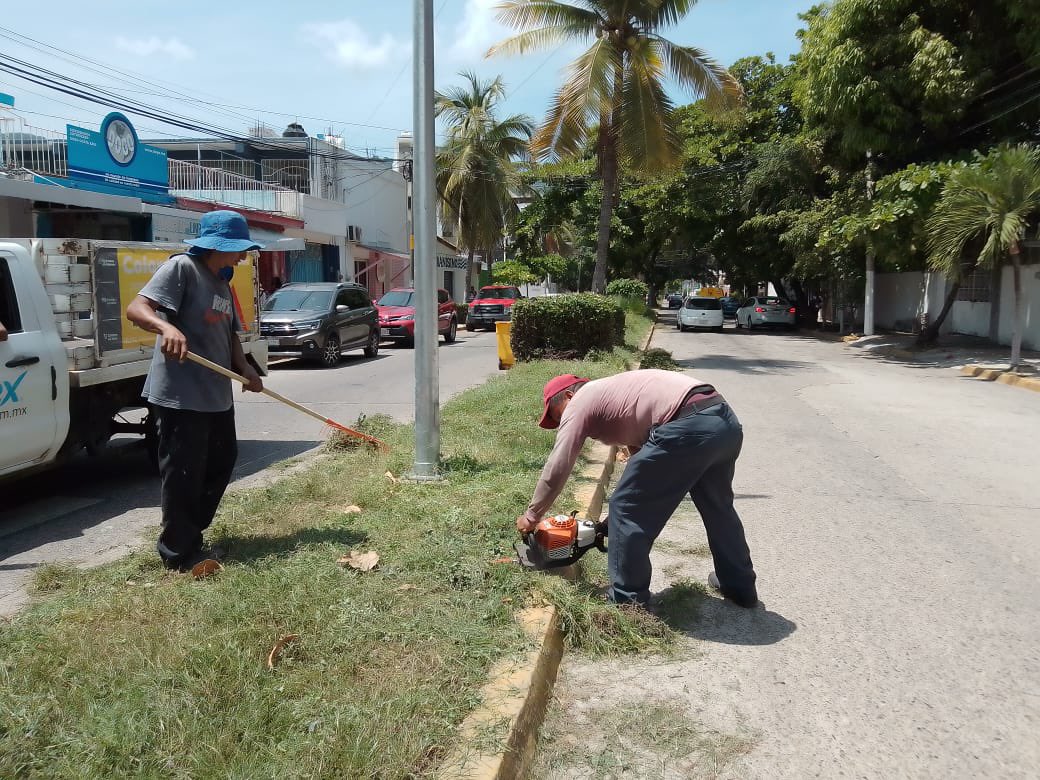 AcCostaazul's tweet photo. Aún con problemas de recolección de basura, pero no dejamos de trabajar en corte, poda y barrido de nuestra glorieta y de la calle Horacio Nelson. Seguiremos con los trabajos para que luzca mejor nuestro fraccionamiento

#enequipoesmejor
#todossomoscostaazul
#costaazul
#Acapulco https://t.co/MsHec3X4CO