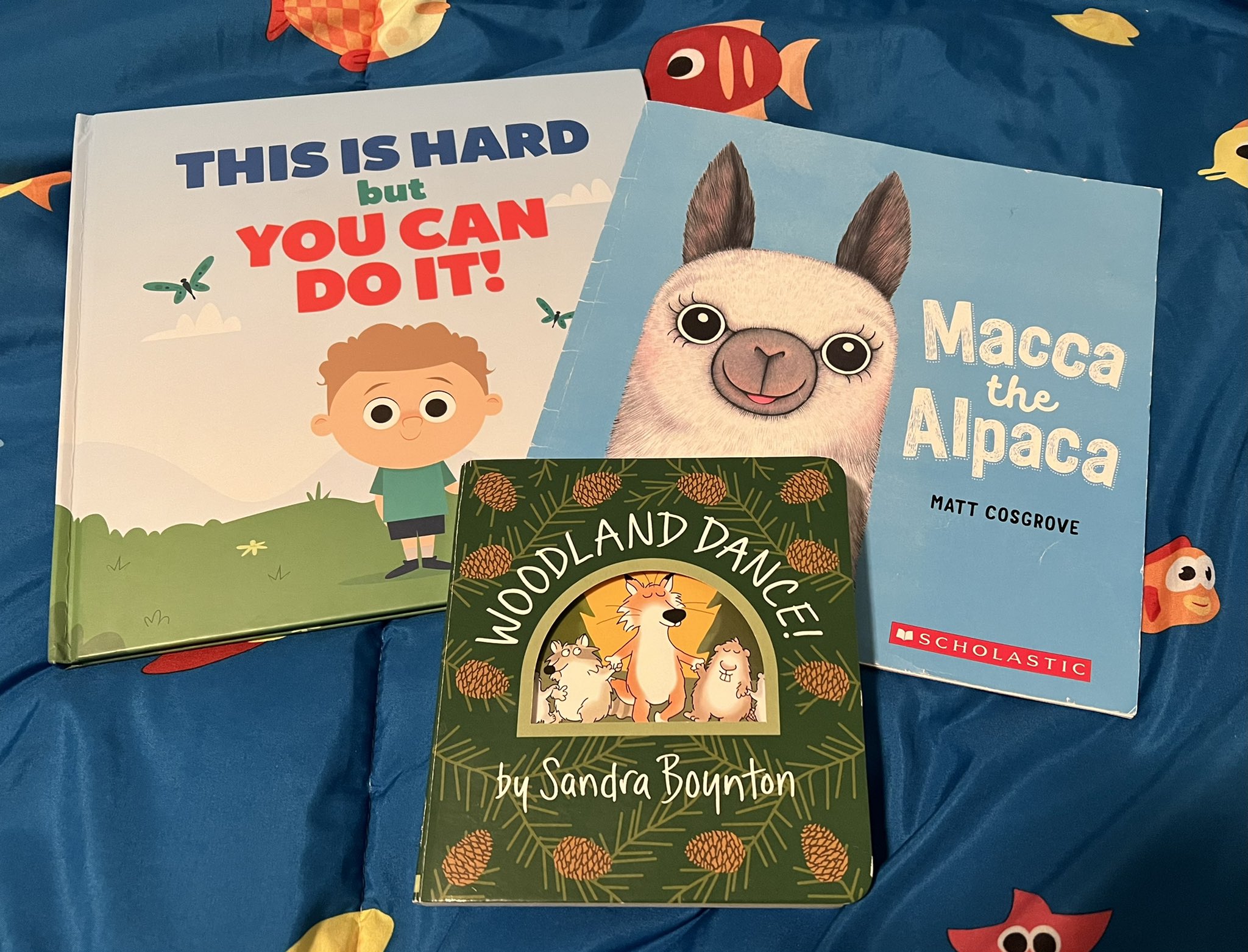 Mead Elementary Music (MeadElemMusic) / Twitter