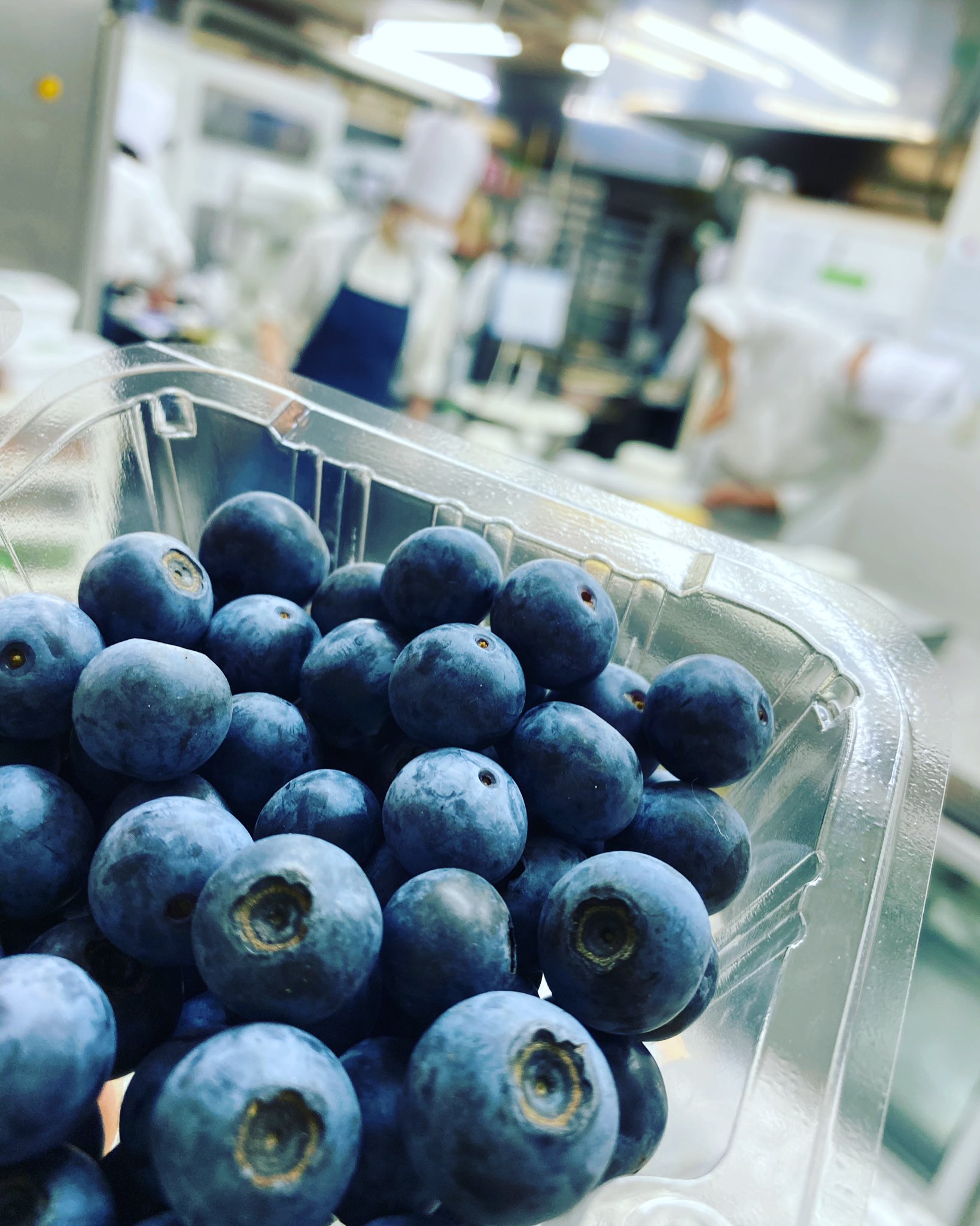 コートダジュールつくば 公式 毎朝摘みたてのブルーベリーが工房に ブルームがかかって パツパツの青の宝石 さあ どんなケーキをつくろうかな コートダジュール つくば ブルーベリー ケーキ スイーツ T Co Jqjpre8dl2 Twitter