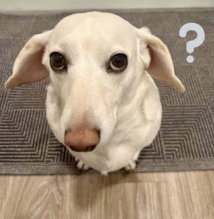 CornJewish's tweet image. 