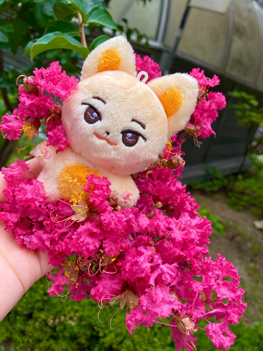 Fox_peach_'s tweet photo. 🌸 https://t.co/3jIl2YQetS