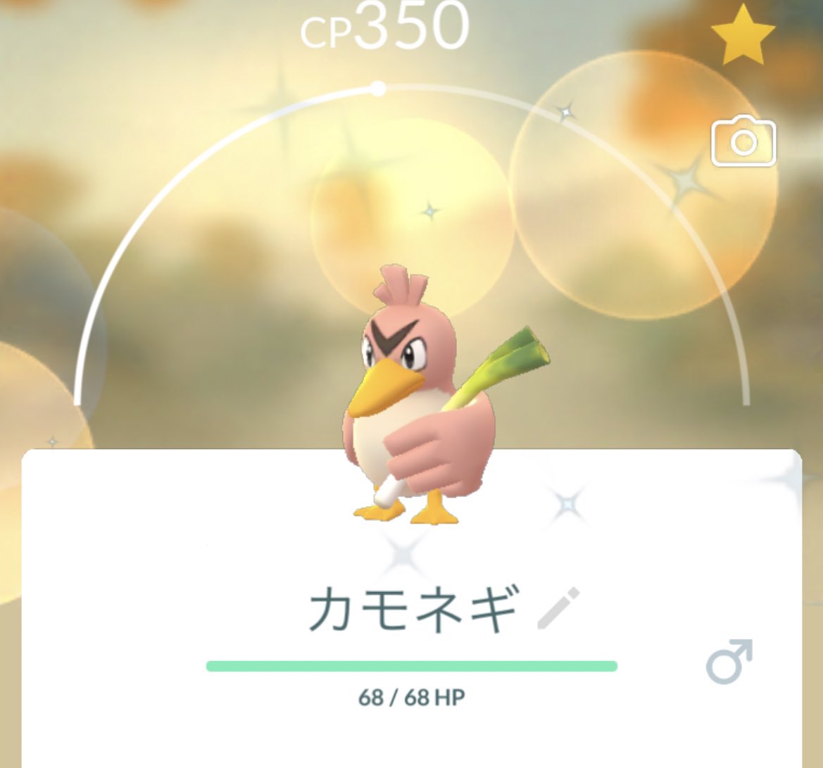 カモネギ Twitter Search Twitter カモネギ Twitter Search Twitter