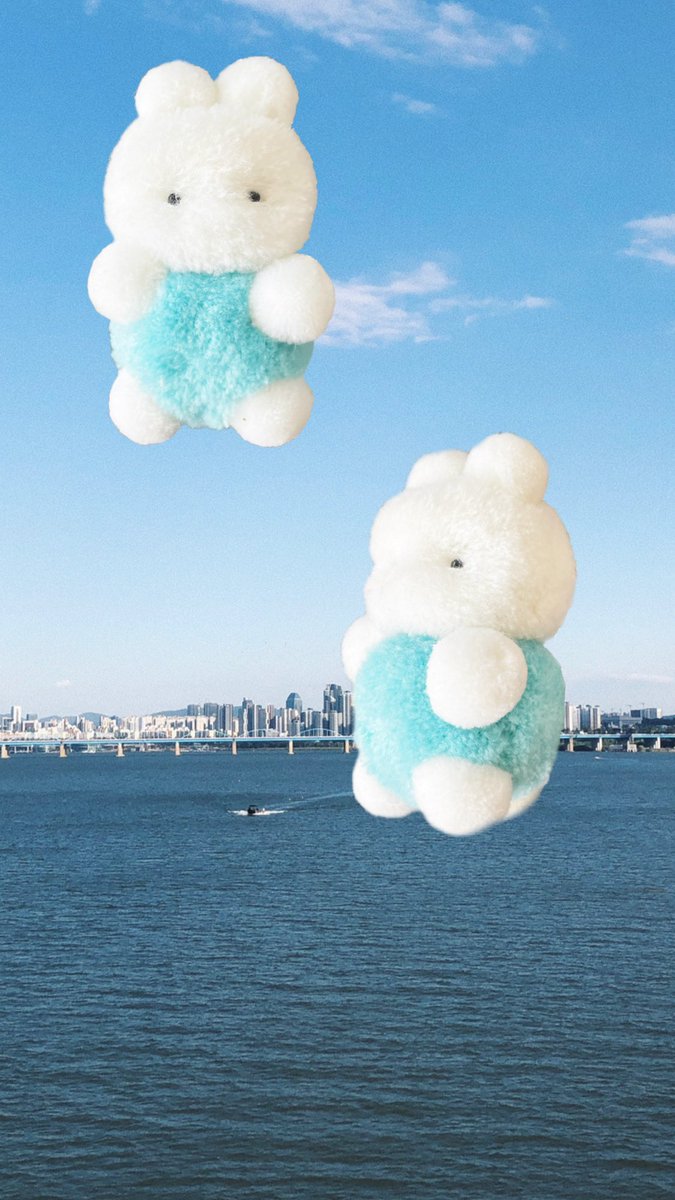 리리피피 tweet media