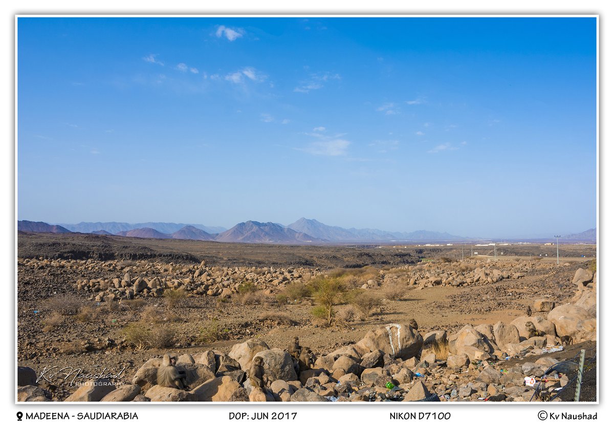 LANDSCAPE║goo.gl/EsV69M     
#landscape #nature #mountain #sky #travel #cloud #scenic #peak #blue #range #environment #scenery #sunny #beauty #countryside #hill #mountainlandscape #dawn #cloudy #terrain #field #saudiarabia