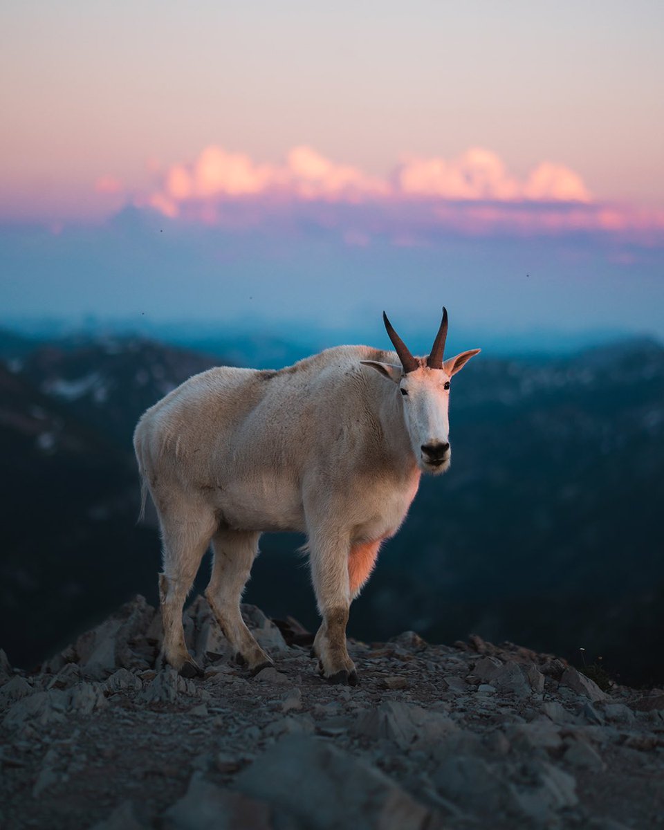 A night on the summit 🏕
