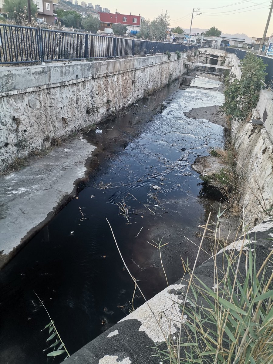 Harmandalında özellikle sabah saatlerinde, derelerde akan pis suyun sebebi nedir. Sorun şikayetle çözülüyor ve  bir süre sonra tekrar ediyor. Denizlere akan bu kirli su çöpten geliyor. Çevreye duyarlı belediye anlayışınız bu mu?  <a href="/tuncsoyer/">Tunç Soyer</a> <a href="/utkugumrukcu/">Utku Gümrükçü</a> <a href="/izmirhim/">İzmir HİM</a>