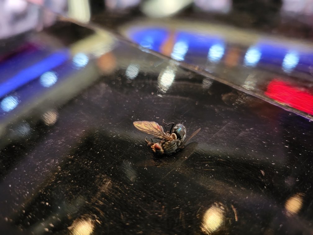 We got him!! #oplivefly