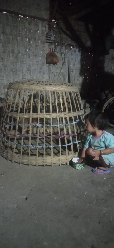 jiewoo's tweet image. Ayam me Di pangani 😅