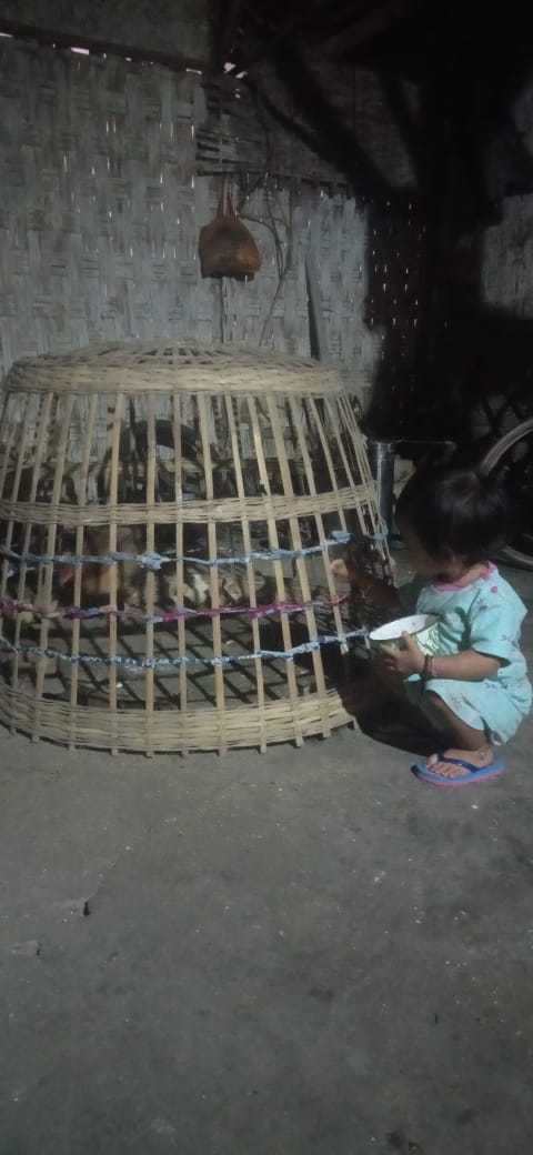 jiewoo's tweet image. Ayam me Di pangani 😅