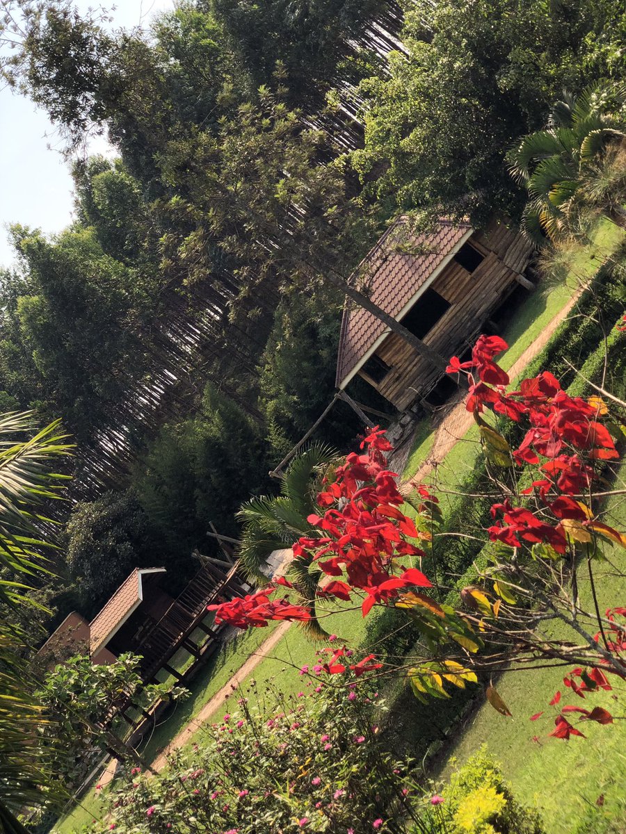Tembuzi Park tweet media