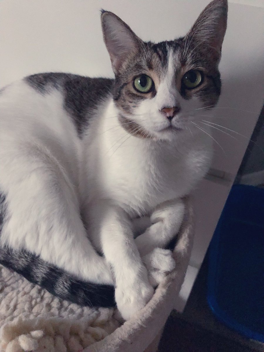 Little Emmee tweet media