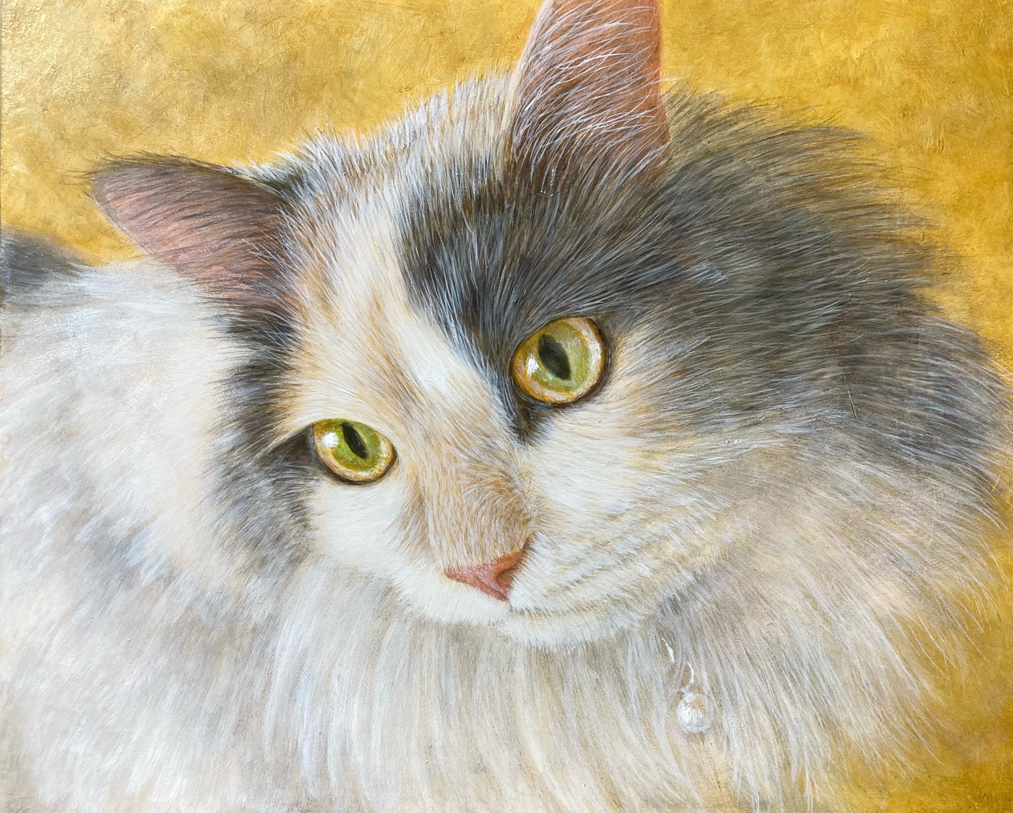 油絵 絵画 猫の寝顔 Ajk Gov Pk