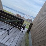 ツイートに含まれる画像