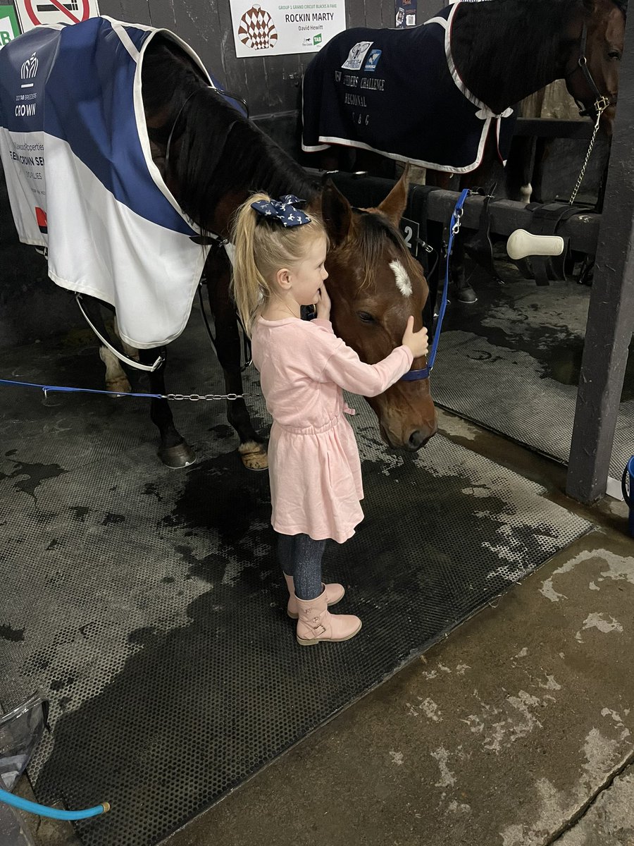 2nd for Amore vita tonight in the Queensland Oaks!🥈 She may not have won but we are so proud of the run she put in tonight! She never gave up!