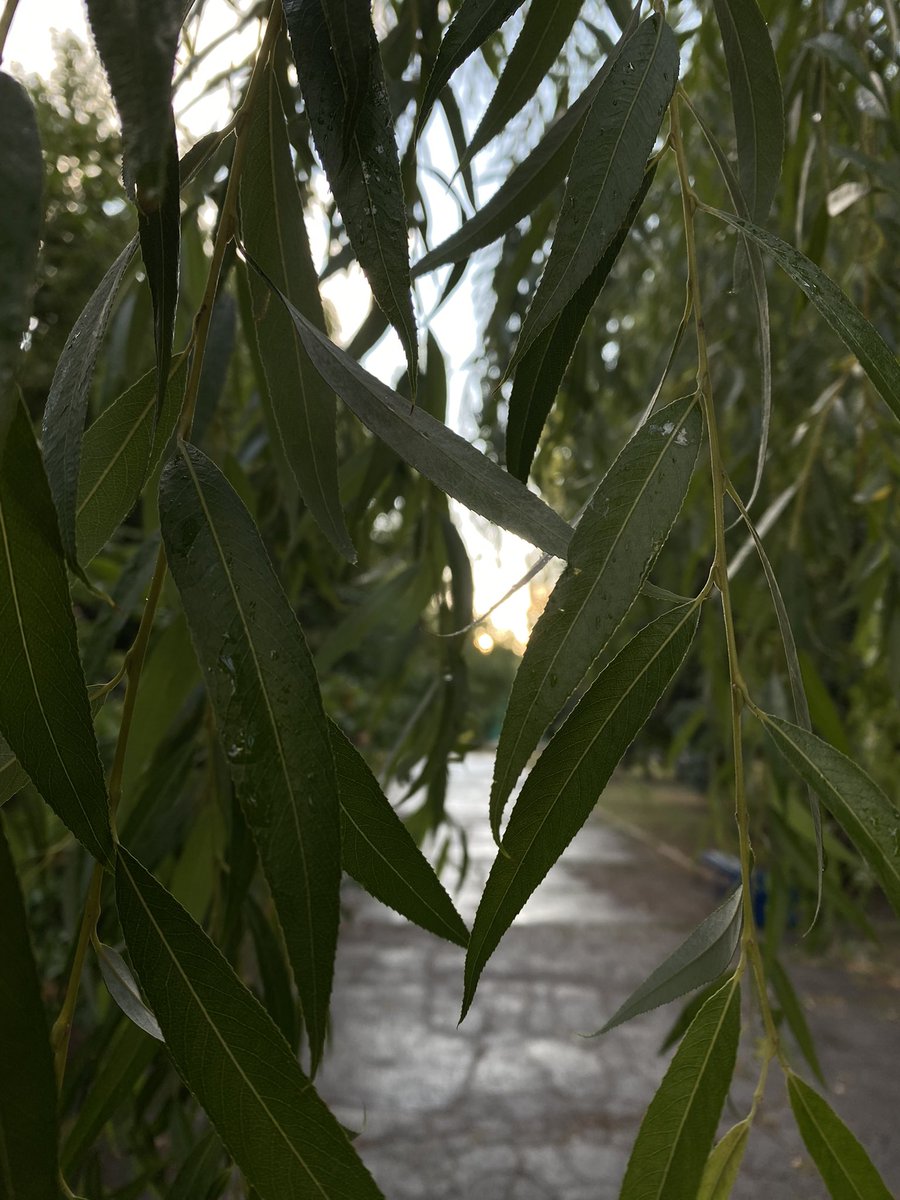 Angelina tweet media