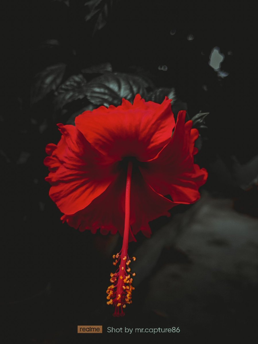 Check out my new post and related guide on pindle- 
pindle.io/web/share?sid=…
#pindle #pindleindia #pindlegems <a href="/Pindle_India/">PINDLE INDIA 🇮🇳</a>