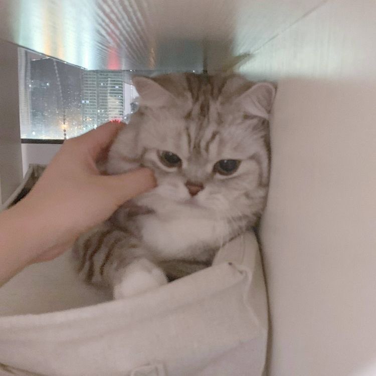 👌🏻👌🏻
#강다니엘 #KANGDANIEL