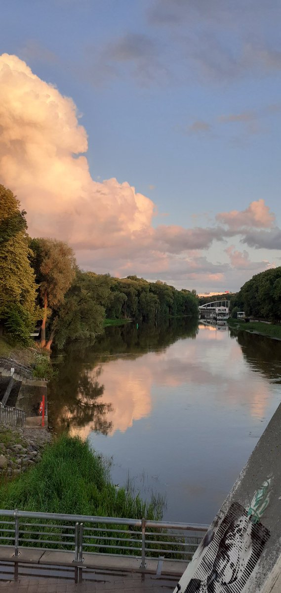 Eileen Enderle tweet media